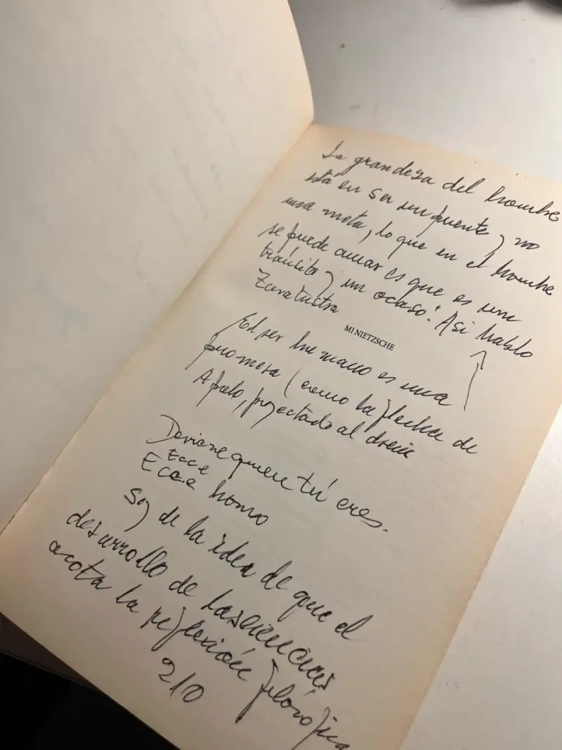 Libro 'Mi Nietzsche', Rafael Echeverría - 5