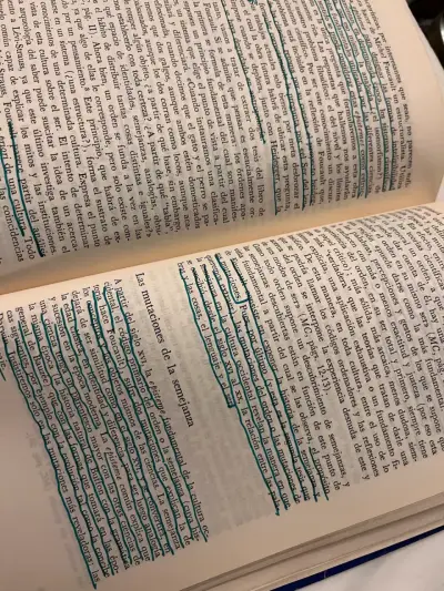 Análisis Estructurales E Ideologías Estructuralist - miniatura 5