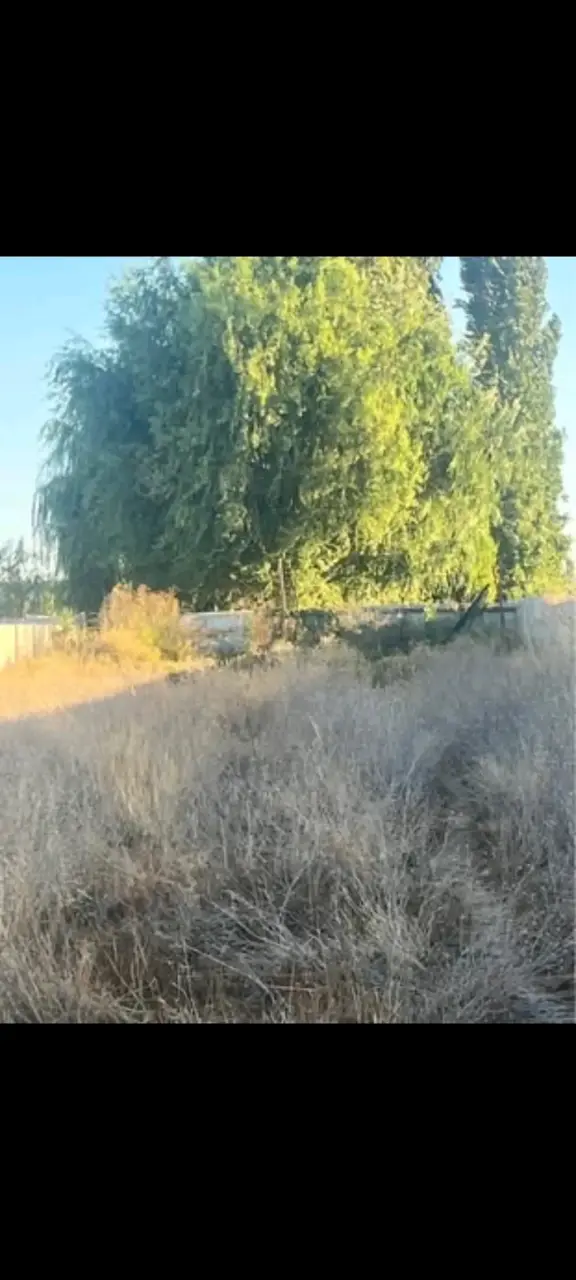 Ventó terreno en lampa ,son 1000 m² - 6