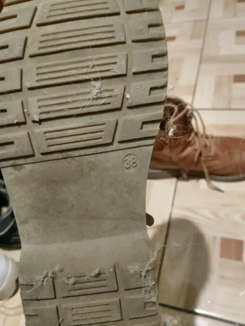 Botas de cuero marrón y chiporro por dentro - 3