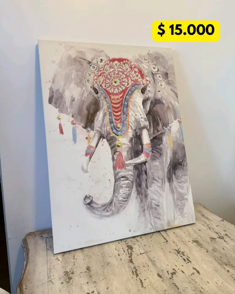 Cuadro de elefante colorido