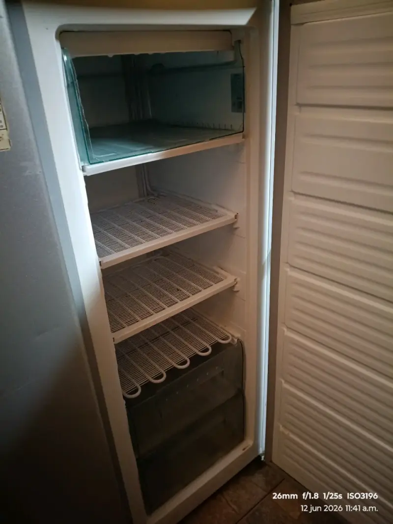 Refrigerador vertical plateado - 4
