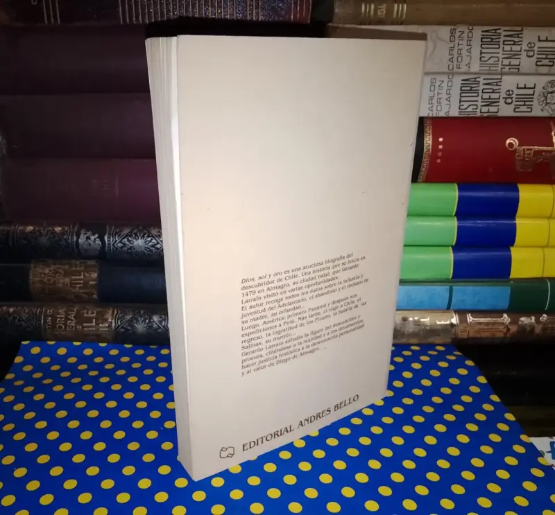 Dios, Sol Y Oro - Gerardo Larraín Valdés - 2