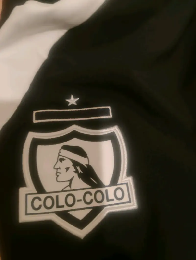 Buzo de colo colo - 2