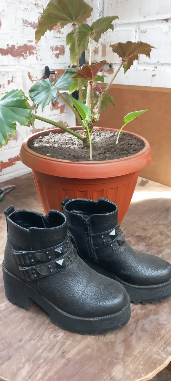 Botines negros marca Gotta