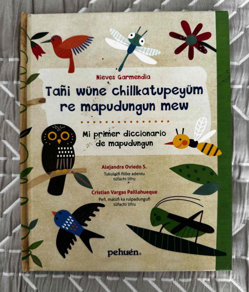 Diccionario infantil de mapudungun