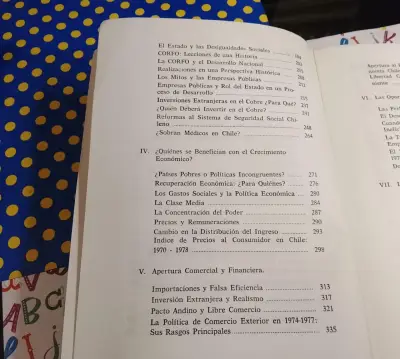 Modelo económico chileno Trayectoria de una crític - miniatura 4
