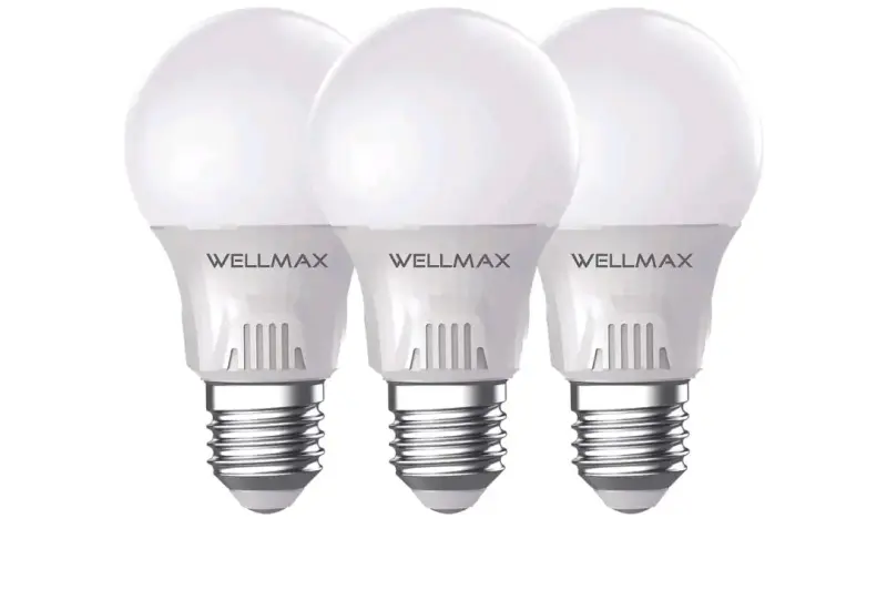 Pack de 3 ampolletas LED Wellmax - 2