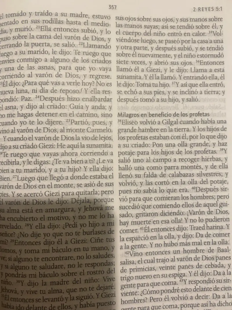 Santa Biblia con tapa floral - 4