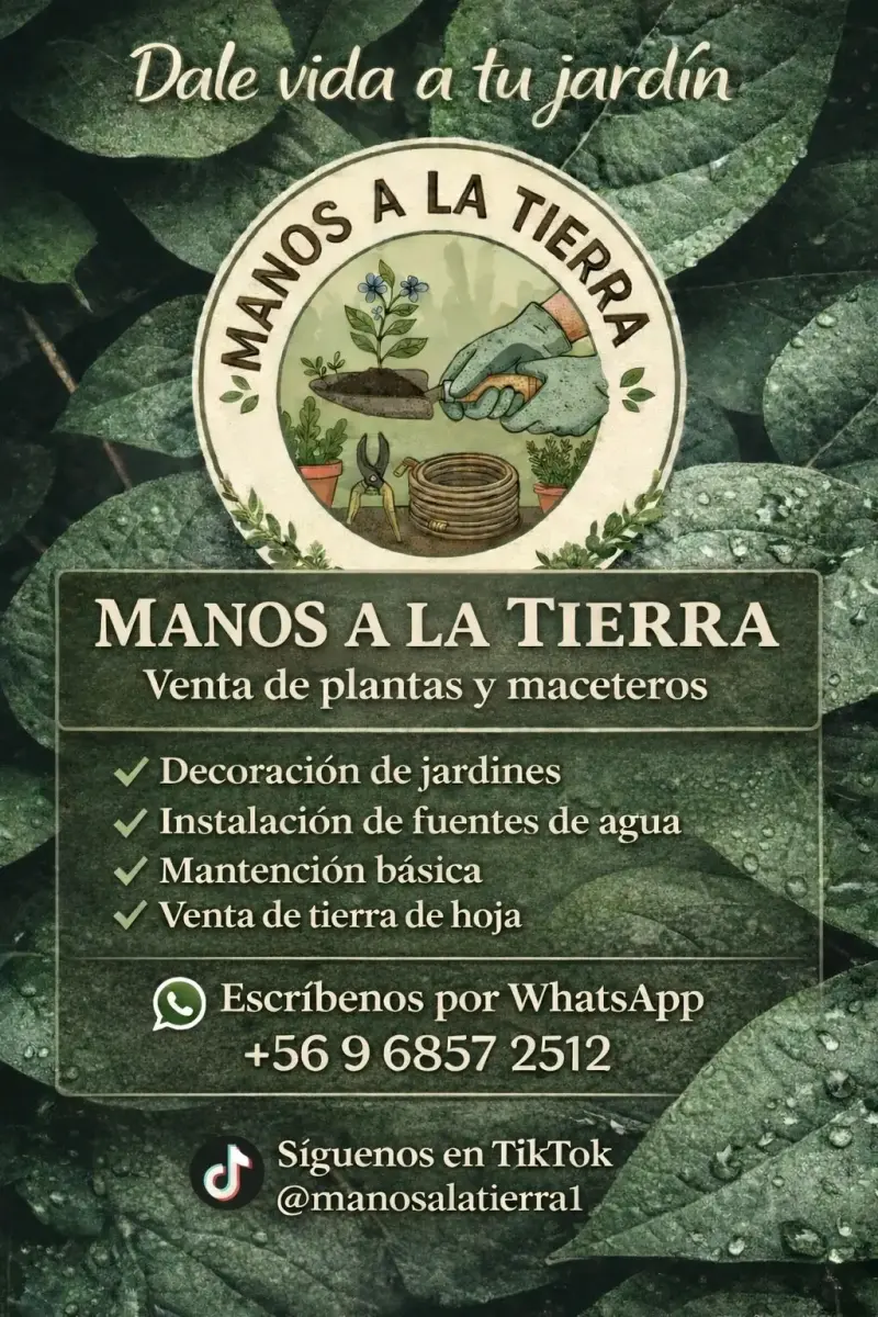 Damos vida a tu espacio verde