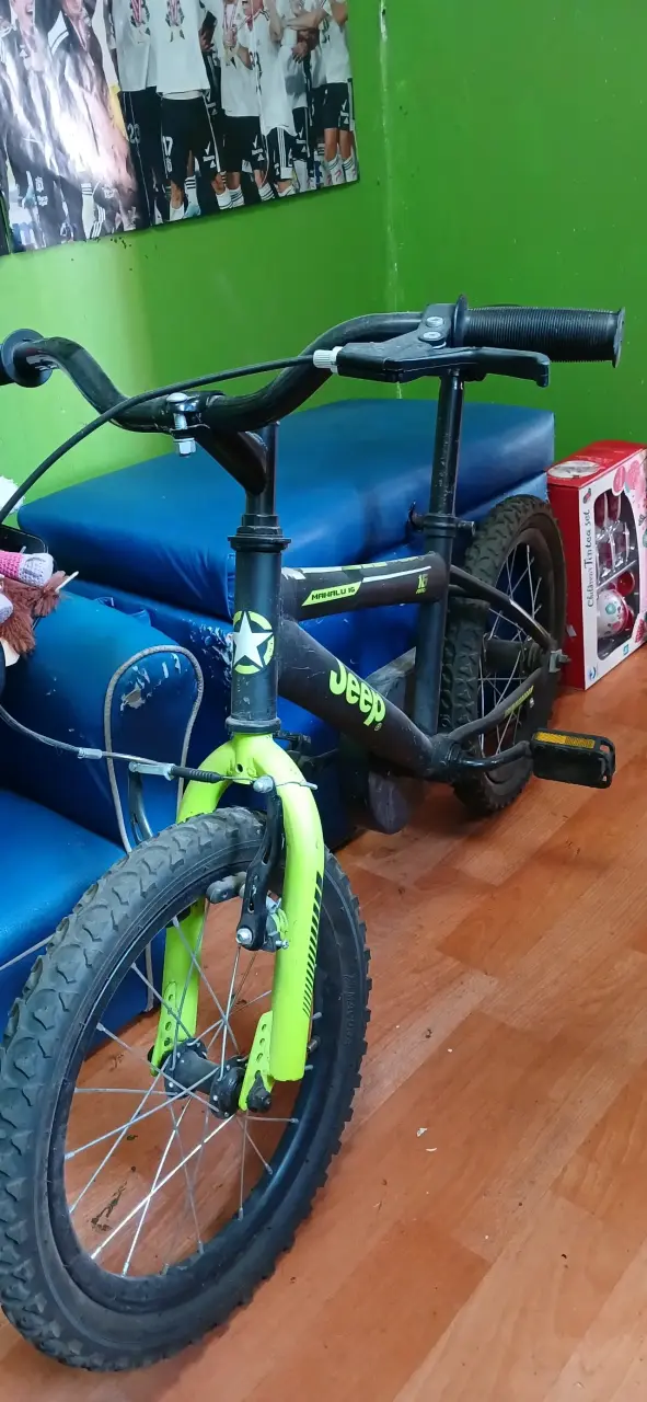 Bicicleta infantil Jeep negra y verde
