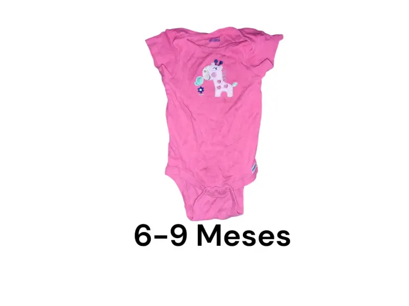 Lote de ropa niña 6-9 meses - 2