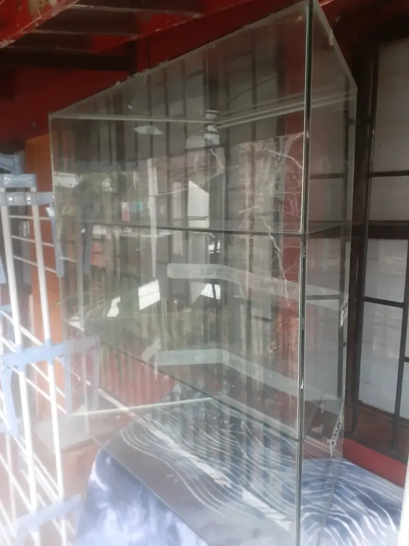 Tengo 2 Vitrina de vidrio con bandejas y puerta al - 2