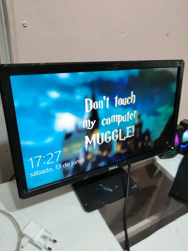 Monitor Dell 20 pulgadas - 2