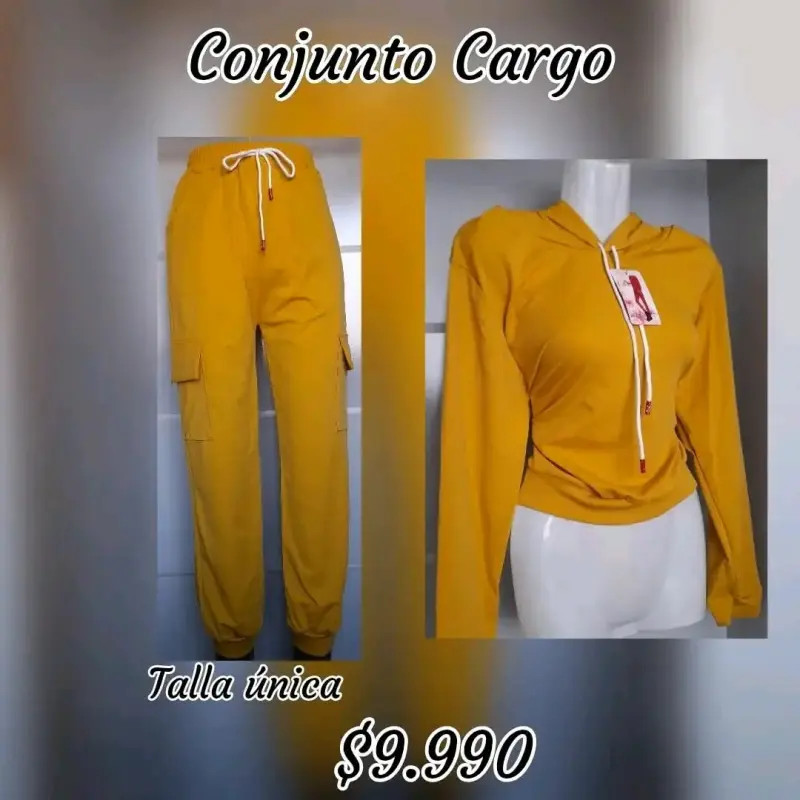 Conjunto cargo