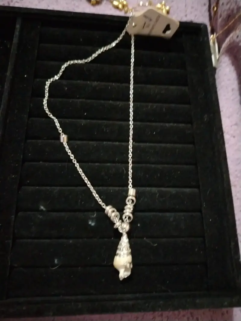 Collar de plata con dije