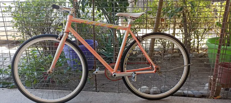 Bicicleta de ruta aro 26 marca totem - 1