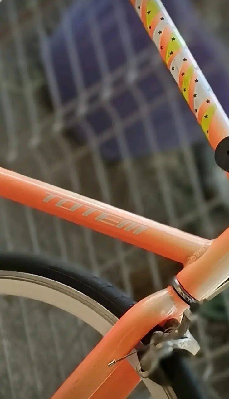 Bicicleta de ruta aro 26 marca totem - 6