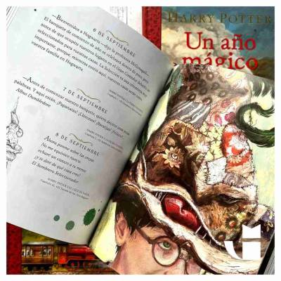 Libro Harry Potter Un año mágico - miniatura 1