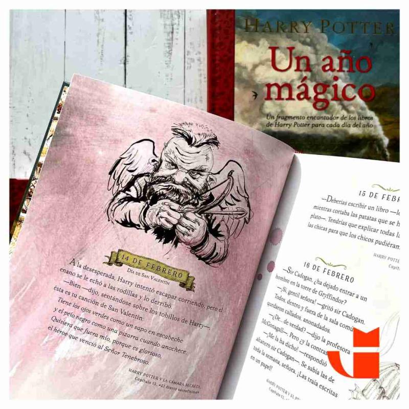 Libro Harry Potter Un año mágico - 2
