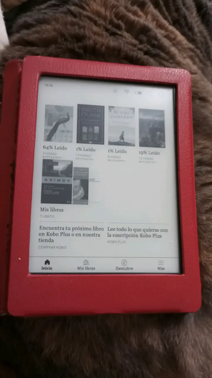 E-reader Kobo con funda