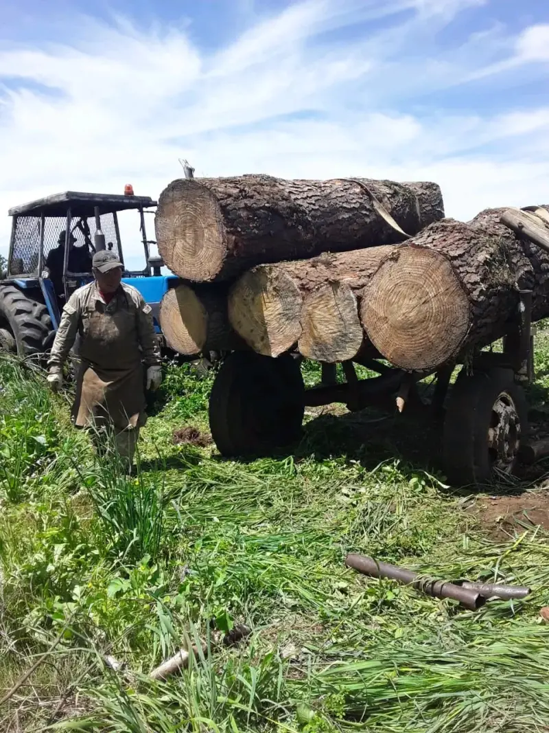 Tractor agrícola, año 1996 LANDINI 8860 - 2