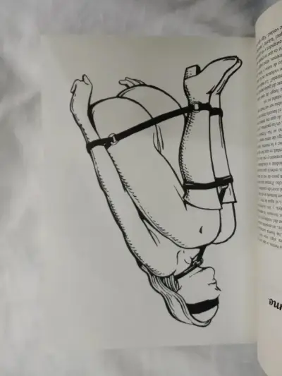 Libro La Carne De Carolina Errázuriz Mackenna - miniatura 4