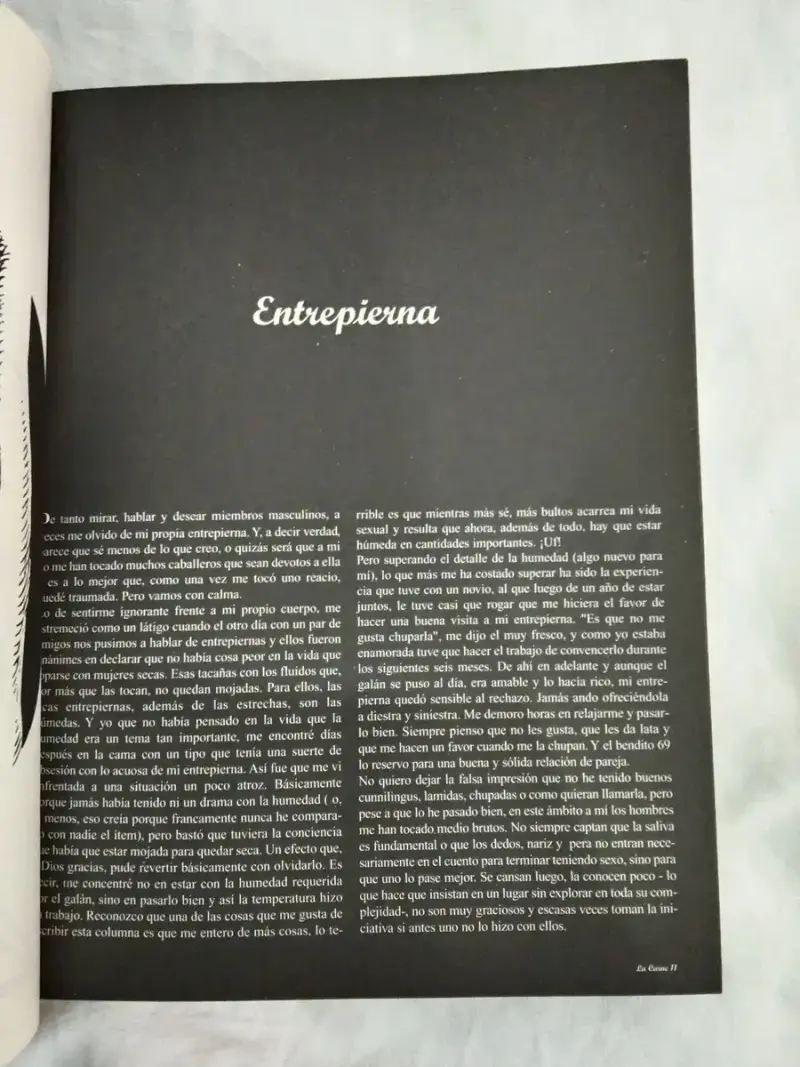Libro La Carne De Carolina Errázuriz Mackenna - 5