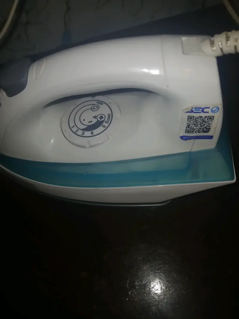 Plancha de vapor blanca