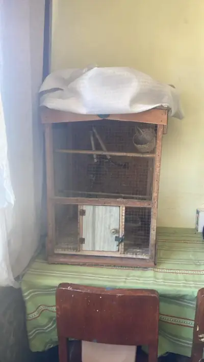 Jaula para pájaros de madera en excelente estado - miniatura 1