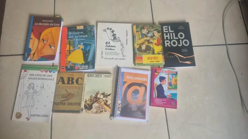 Lote de libros variados - 2