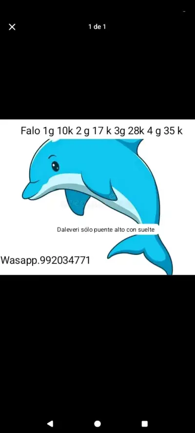 Falo roca - miniatura 1