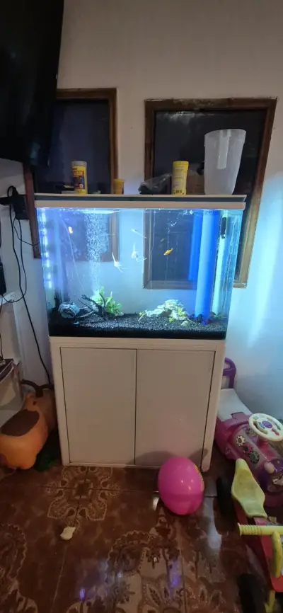 Acuario con mueble blanco filtros dendro del muebl - miniatura 1