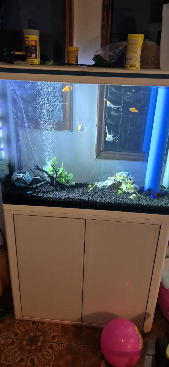 Acuario con mueble blanco filtros dendro del muebl - 2