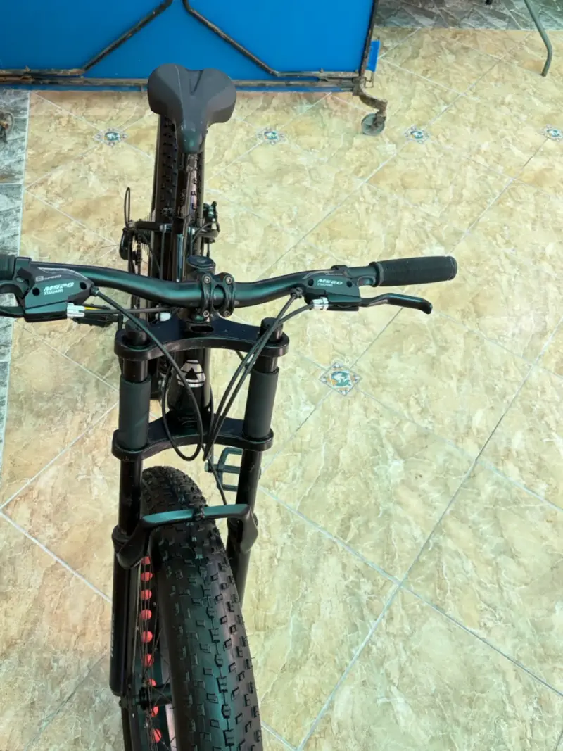 Bicicleta Fat Bike negra - 2