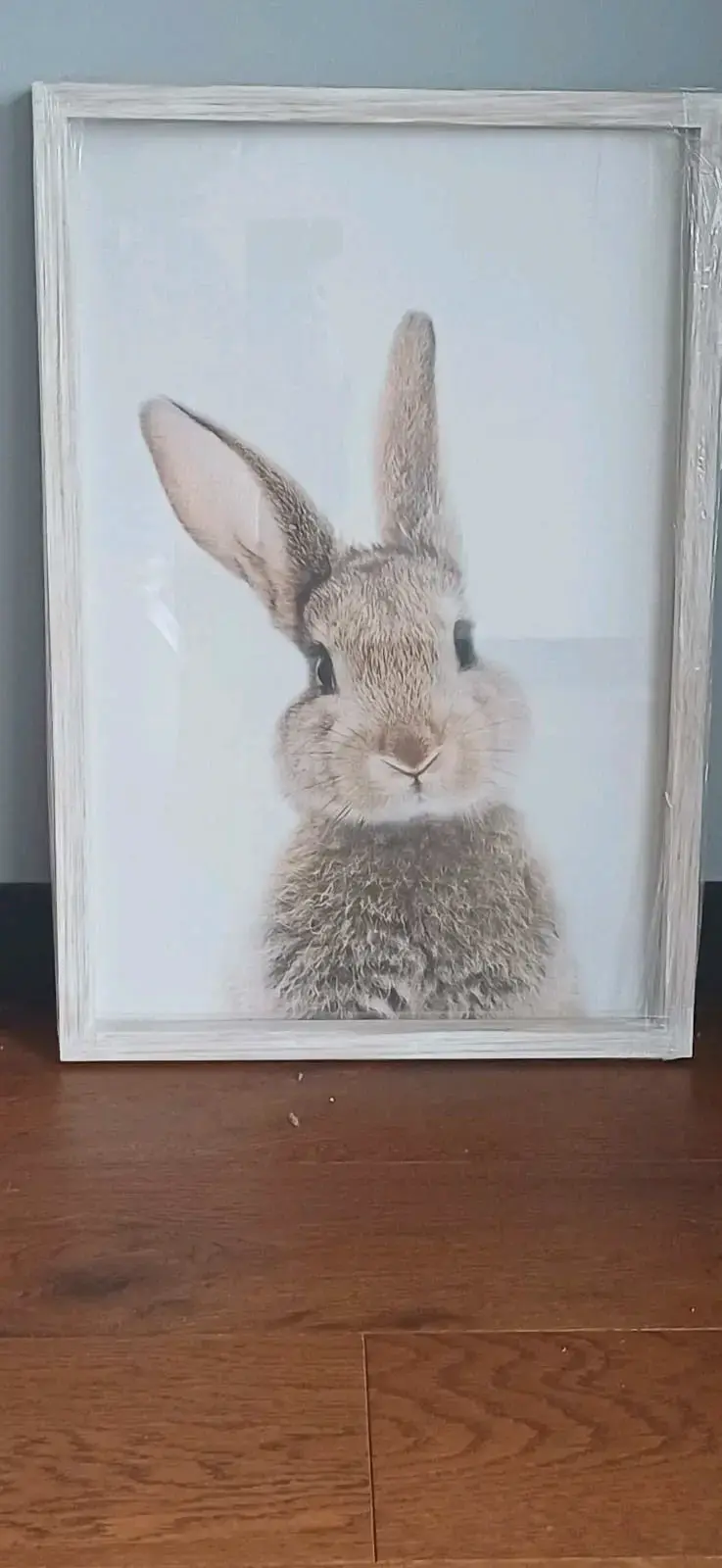 Cuadros animales en marcado - 2