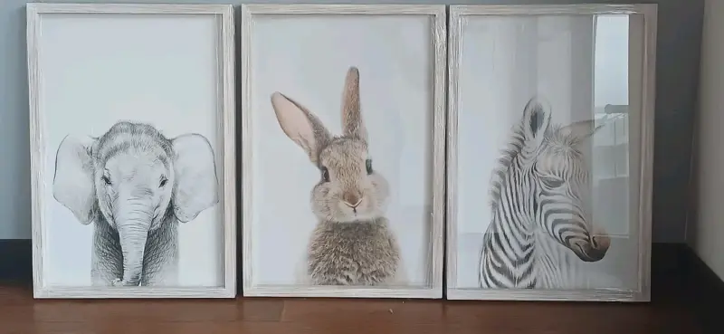 Cuadros animales en marcado - 4