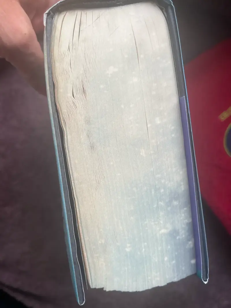 Libro Quicksilver de Callie Hart - 4