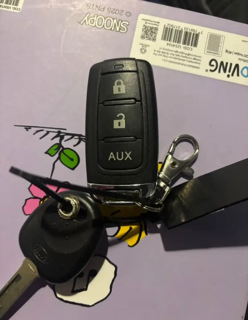 Juego de llave maestra para auto Kia morning - 2