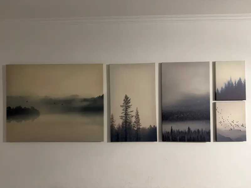 Cuadros IKEA (9) - 1