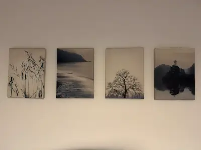 Cuadros IKEA (9) - miniatura 4