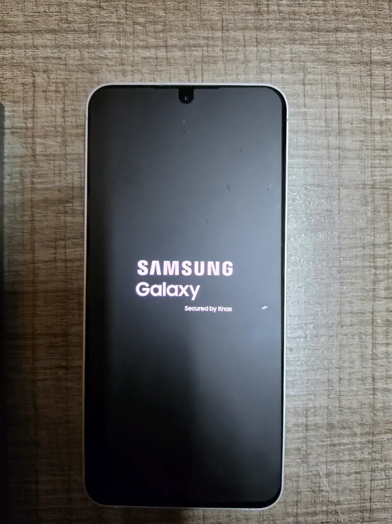 Samsung Galaxy S25 FE 256 GB - 1