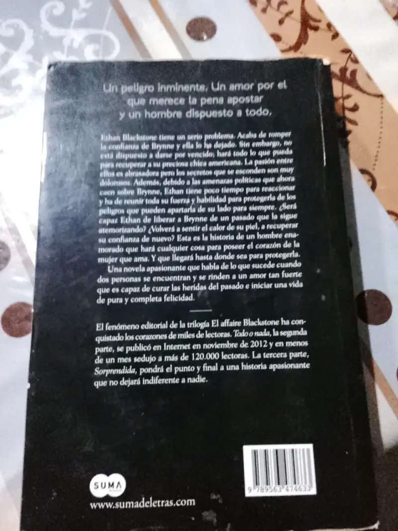 Libro 'Todo o Nada' Raine Miller - 2