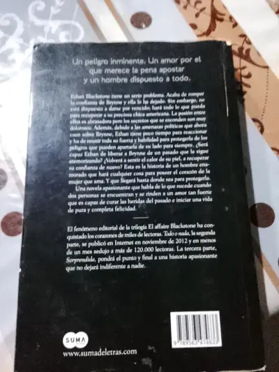 Libro 'Todo o Nada' Raine Miller - miniatura 2