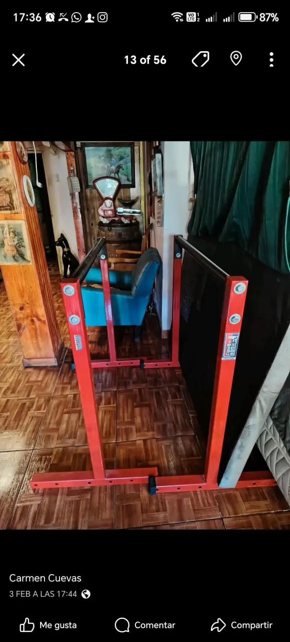Barras paralelas para ejercicio - 3