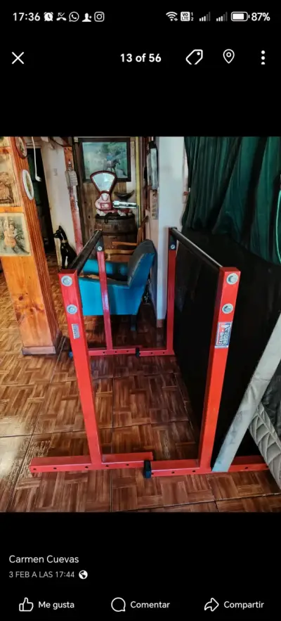 Barras paralelas para ejercicio - miniatura 3