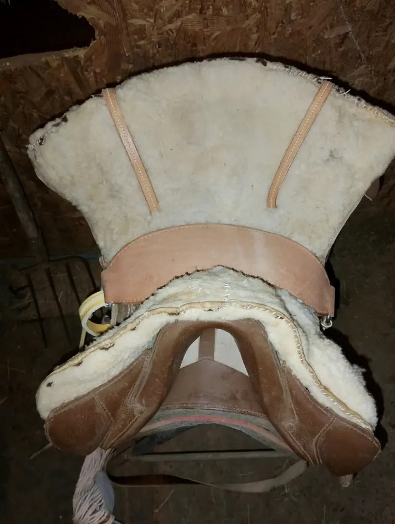 Montura de cuero con lana - 1