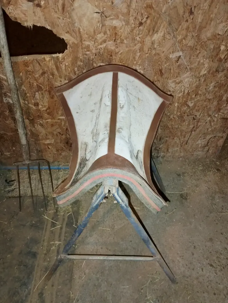 Montura de cuero con lana - 2