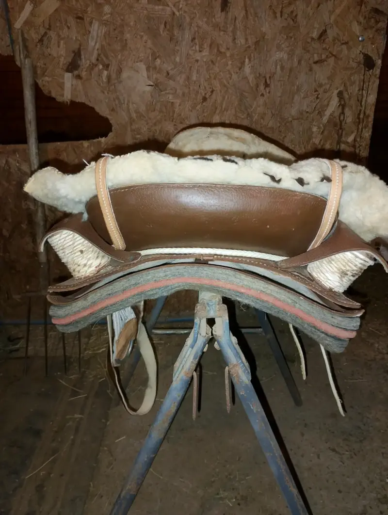 Montura de cuero con lana - 3