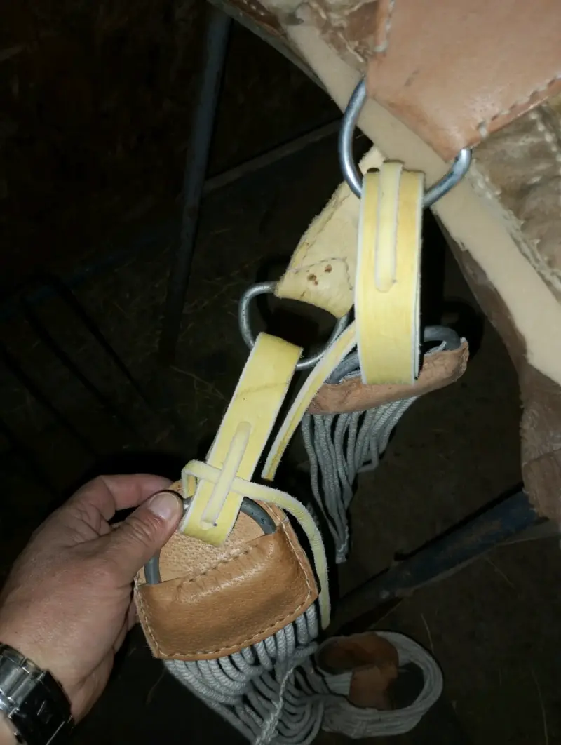 Montura de cuero con lana - 4